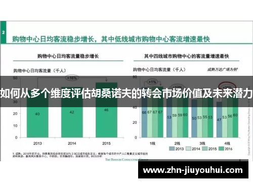 如何从多个维度评估胡桑诺夫的转会市场价值及未来潜力