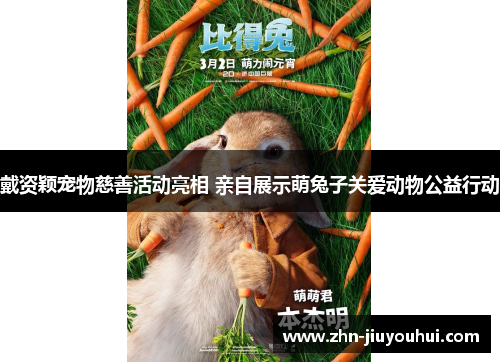 戴资颖宠物慈善活动亮相 亲自展示萌兔子关爱动物公益行动 戴资颖宠物慈善活动亮相 亲自展示萌兔子关爱动物公益行动