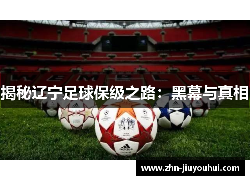 揭秘辽宁足球保级之路:黑幕与真相 揭秘辽宁足球保级之路:黑幕与真相